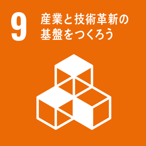 SDGs_9